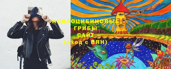 не бодяженный Белокуриха