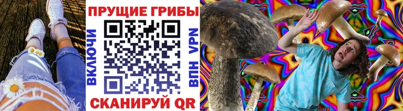 МЕГА ссылка  Верхний Тагил  Псилоцибиновые грибы MAGIC MUSHROOMS 